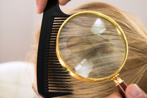 Inspecting-for-head-lice