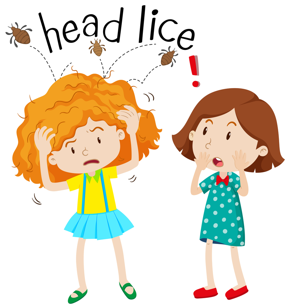 Are Head Lice Contagious?