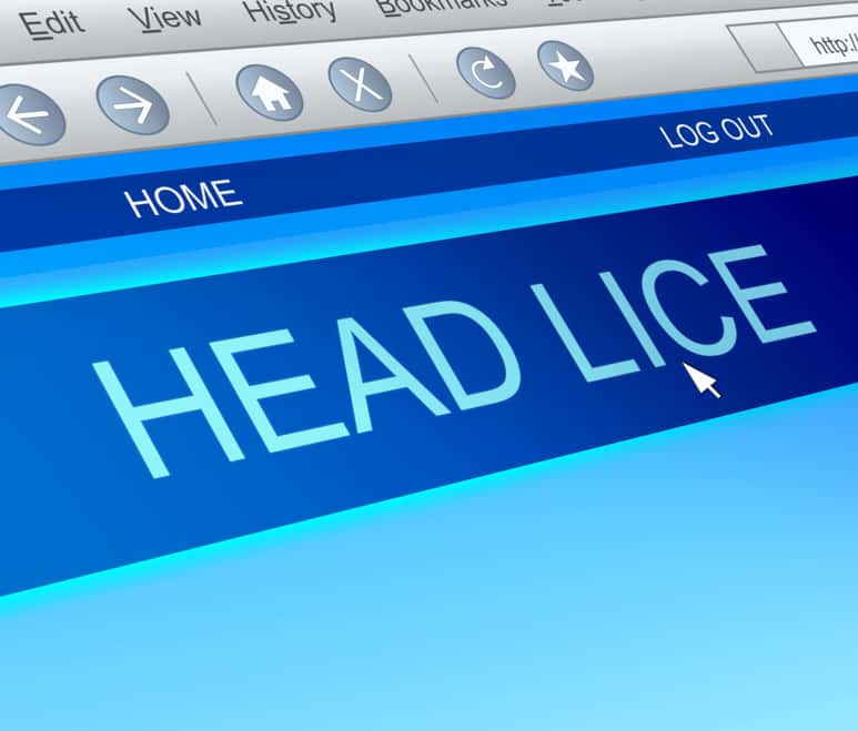 We Are Your Best Source for Head Lice Removal