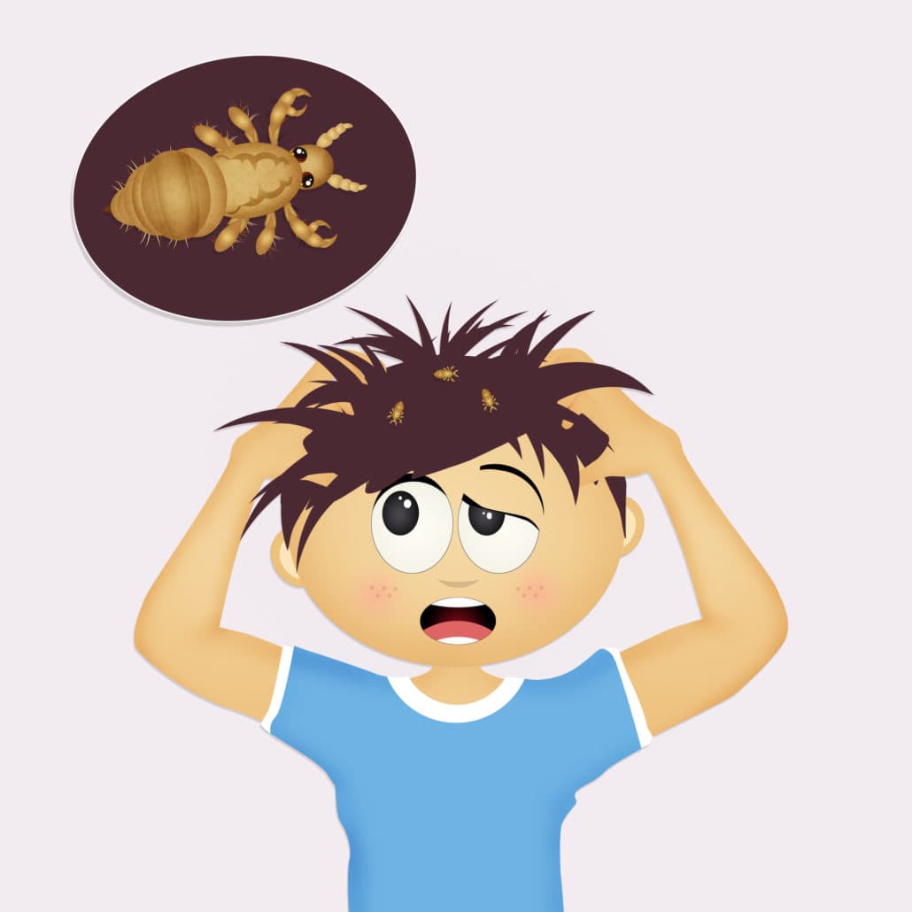How Do Head Lice Move? - Lice Clinics of Texas