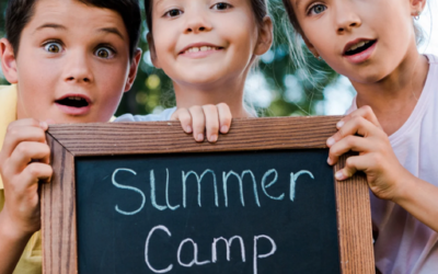 Larry the Louse and the Great Texas Camp Dream